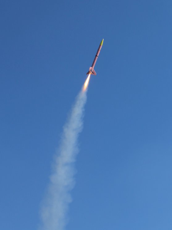 Ruzovy Panter na 800 Ns